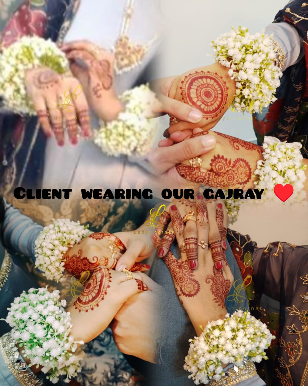 Gypsophila Gajray - Baby Breath Gajray